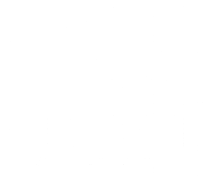 Aracari Consulting Logo